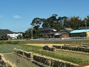 天高く肥ゆるも仕方なし（お米も栗もモチホク）