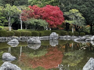 素敵に赤めく