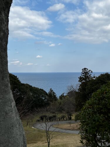 寒くなる・・と悩ましい