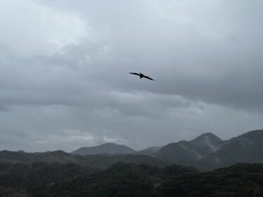 霧雨からの土砂降りも