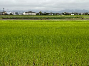 パンとか　そんな感じになる風景