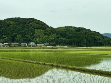 並んでいます