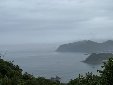 雨に煙る