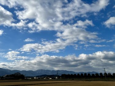 久しぶりの青空